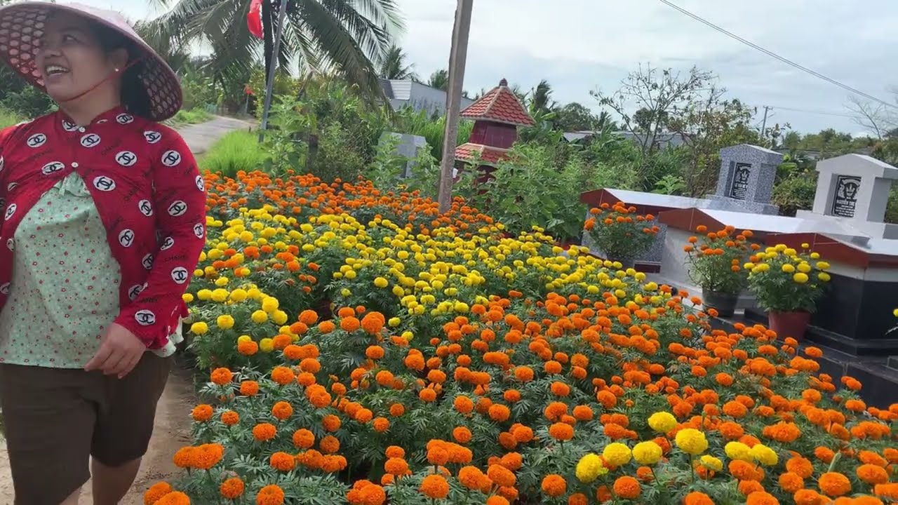 Di Sau Mien Tây  đang phát trực tiếp