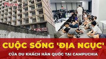 Du khách Hàn Quốc không ngờ bị tra tấn, giam cầm trong ổ lừa ở Campuchia | Tin quốc tế