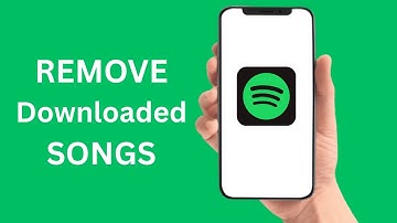 How To Remove Downloaded Spotify Songs (2025)