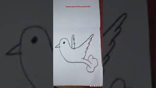 how to make Drawing pigeon