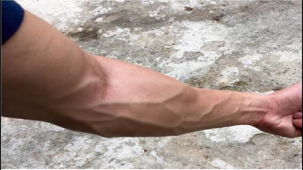 How To Get Veins In Your Arms Permanently Youtube