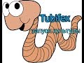 Tubifex Трубочник запуск культуры.
