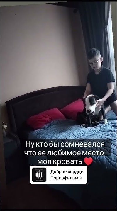 youtube.com