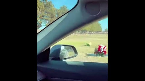 XE TESTLA PHÁT HIỆN "MA" TRONG NGHĨA TRANG - Tesla Car At A Cemetery Detects People Around It