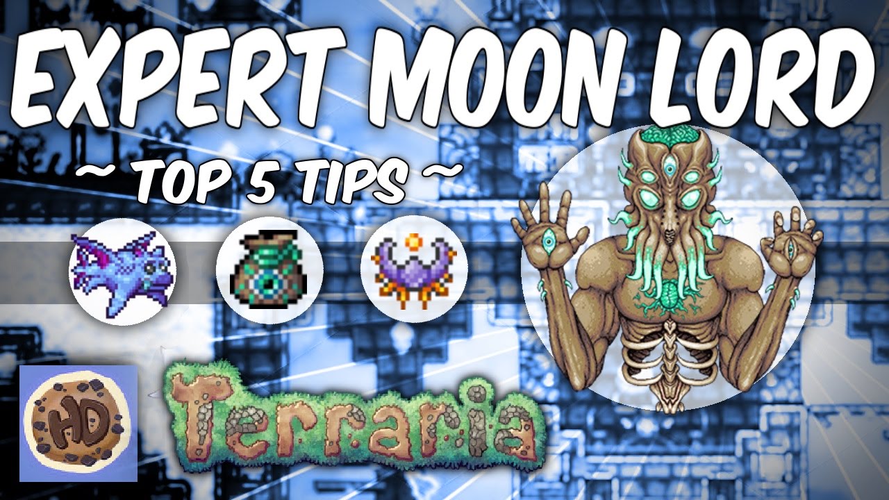 terraria moon lord guide