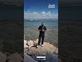 رغم الغا ر ات الكثيفة أهالي صور يستقبلون الموسم الصيفي بالسباحة  