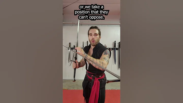 it's HARDER to Fight NOOBS?! Fencing Reckless Opponents #sword #hema #shorts