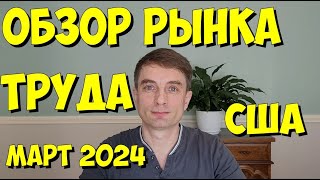 Краткий обзор рынка труда в США. Март 2024