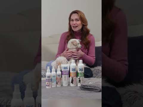 Common dog shampoo mistakes