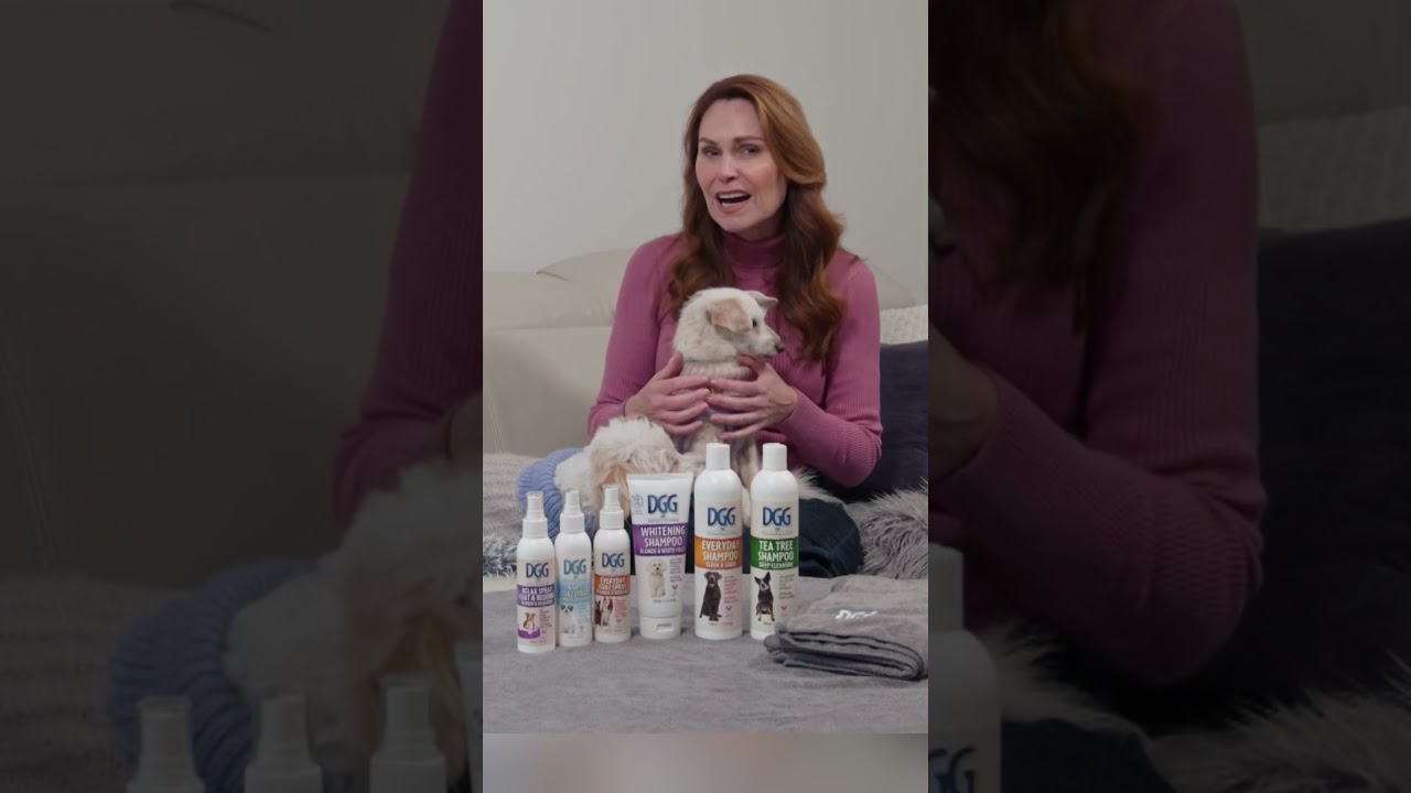 Распространенные ошибки при выборе шампуня для собак