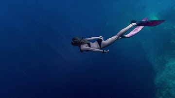 Garmin Descent Mk1 Dive Computer – Designed for the deeply curious