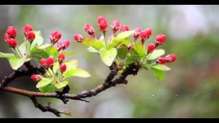 讓心歸零 192p mpeg4 aac