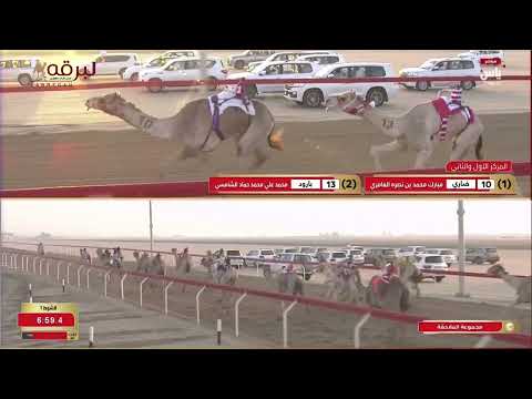 ش1 الغزال ل محمد سلطان مطر مرخان الكتبي جائزة زايد الكبرى 28 11 2024ص بندقية الجذاع قعدان 8 58 89