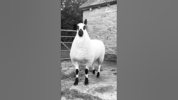 اسمع القرآن الكريم#يوسف_وأسيل#اكسبلور#يوسف#قران_كريم#قرآن#سبحان_الله#اللهم_صل_وسلم_على_نبينا_محمد#حب