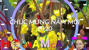 30 TẾT CỦA KÊNH HOPHAMCANA