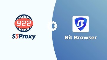 Configure bit browser in 922S5Proxy client.