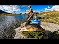 Wild mountain trout fishing  solo camping catch  cook