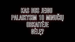 Eksperimentas - Kaitra