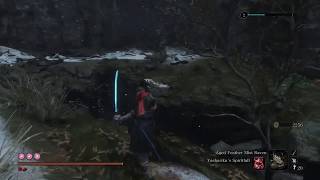 Lone Shadow Longswordsman NG+7 No Hit/Damage (Charmless, Bell Demon)