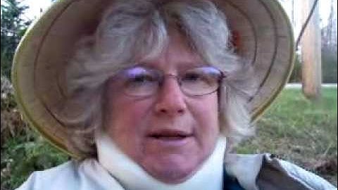 Update from Sedge Meadow Tipi ASMR weaving basketmaking (basket making tutorial) 