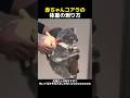 赤ちゃんコアラの体重の測り方