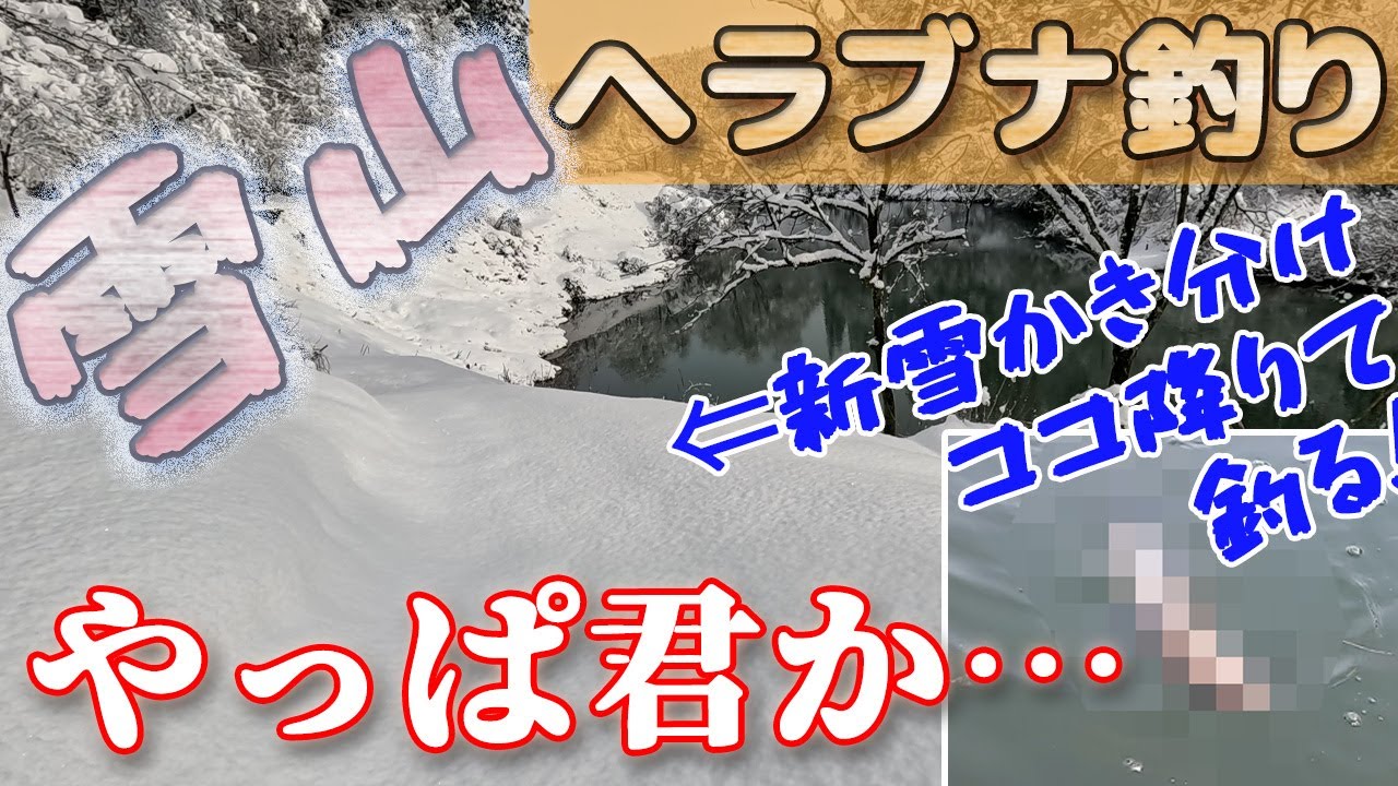【5尺で段底・厳寒期】積雪40ｃｍのダム湖畔で段差の底釣りでヘラブナを狙います！