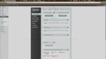 Elegant Themes EPanel Navigation Settings