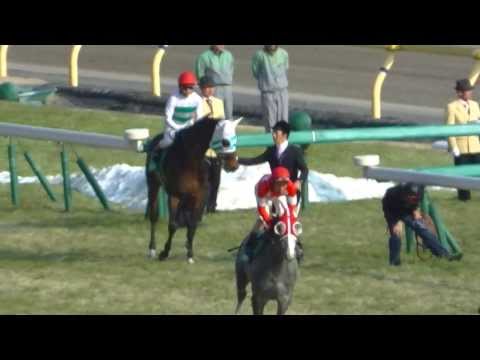 2014 02/24　第48回 共同通信杯(ＧＩＩＩ)　本馬場入場　現地映像　イスラボニータ