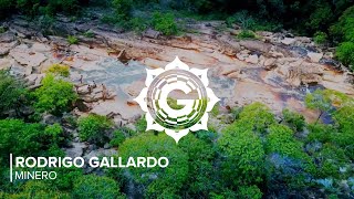 Rodrigo Gallardo • Minero → F O L K T R O N I C A 💮(Folktronica/Deep House/Ethnotronic) Resimi