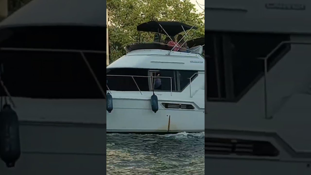 Miami Live Short Video 3188