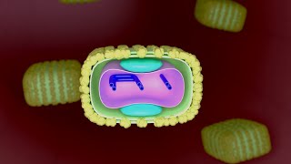 3D Structure of Monkeypox virus - KNOW YOUR ENEMY!