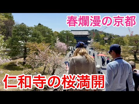 京都12か月　まとめ 京都12か月 まとめ 京都12か月 まとめ Amazon.co.jp: 12月の