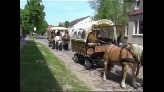 Pferdeparadies in der Uckermark - Angermünde, Criewen, Schwedt und mehr