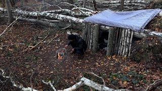 3 Days Solo Survival In The Forest! ASMR Building Wood Shelter And grilling Fish.