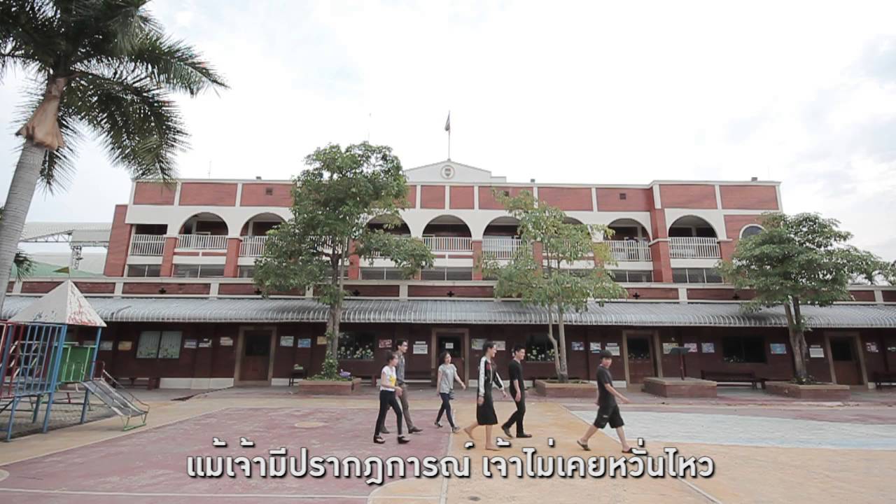 เพลง ดาว วชิราลัย