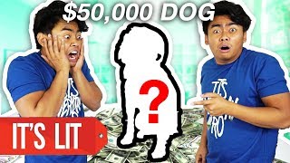 $1 Vs $50,000 Dog!