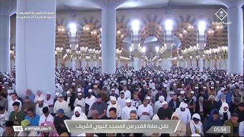 صلاة الفجر للشيخ أ.د. #محمد_برهجي الأربعاء 19 جمادى الآخرة 1447هـ من سورة العنكبوت 28-45