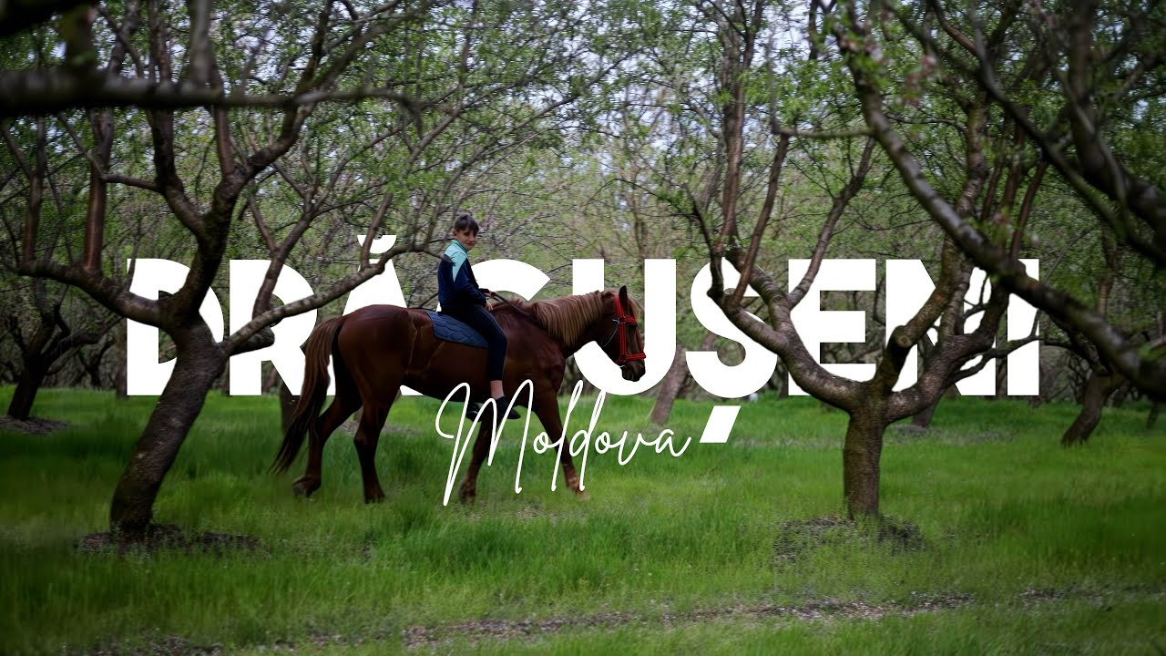 The Old Grove | Draguseni | Chisinau, Moldova | 4K Cinematic Travel Video