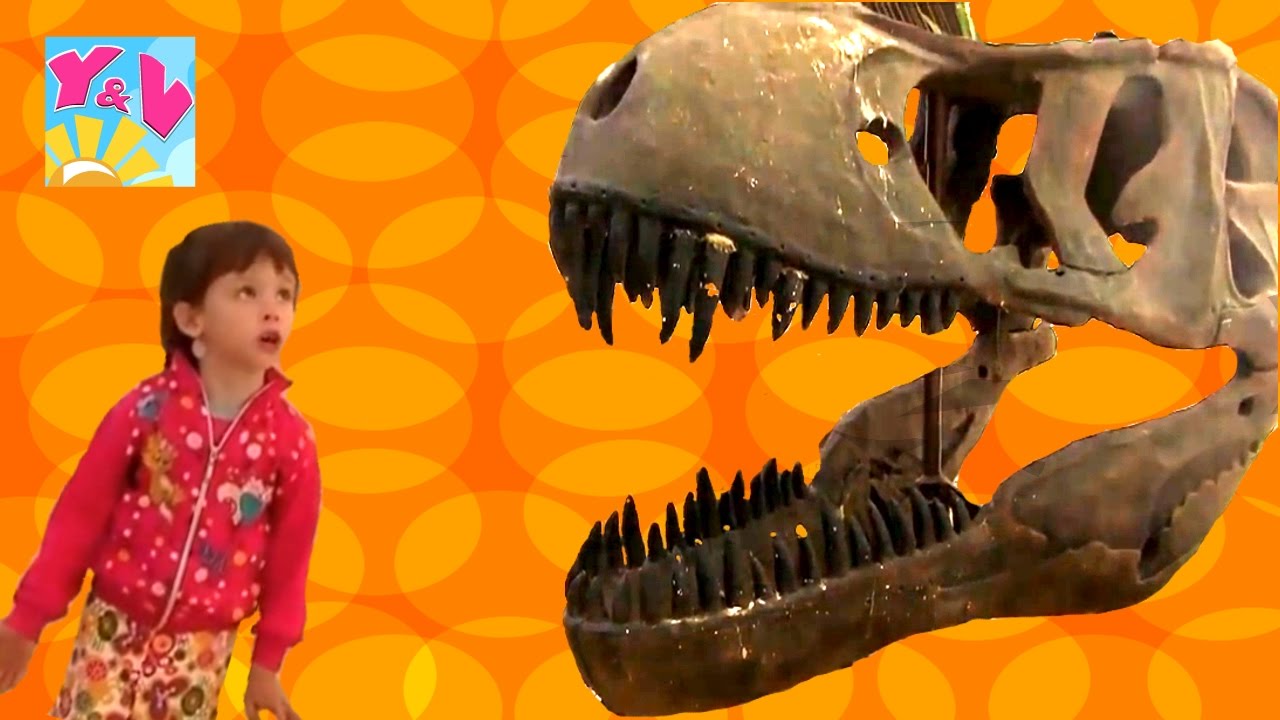 ☀ ОГРОМНЫЙ СКЕЛЕТ ДИНОЗАВРА! Динотерий Парк птиц Голуби Павлины ...