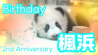 【Fuhin♥Birthday】Fuhin 2th Anniversary 2Hour Special♥ 楓浜バースデー2時間スペシャル♥