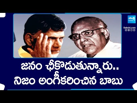 Magazine Story: కొత్త కుట్రలకు పదును పెడుతోన్న పచ్చమంద..| Chandrababu, Ramoji Rao @SakshiTV - SAKSHITV