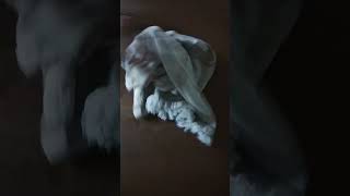 exploding egg prank on husband