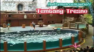 Instrumen Campursari - Tembang Tresno || enak di dengar saat santai|| dolphin show