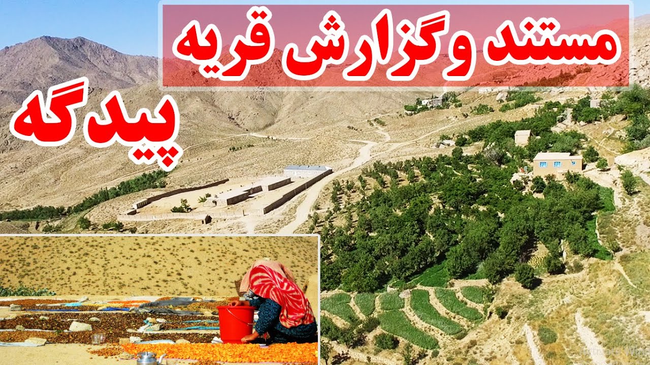 مستند و گزارش ویژه از قریه پیدگه