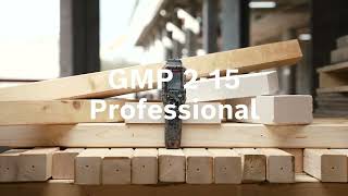 Bosch Professional GMP 2-15 Material Moisture Meter