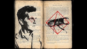 Discussion on Wittgenstein