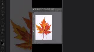 Add a color plate on Photoshop