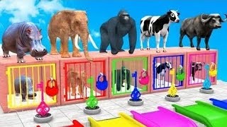 paint animals gorilla,  Elephant, Guess The Right Door ESCAPE ROOM CHALLENGE Animals Lock Game screenshot 4