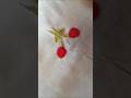 flower design embroidery work for beginners tutorial design #shortvideo #youtube #yiutubeshort