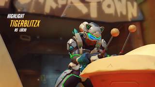 lucio bully